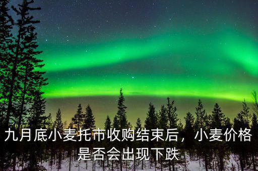 九月底小麥托市收購結(jié)束后，小麥價格是否會出現(xiàn)下跌