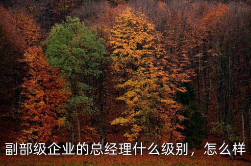 副部級(jí)企業(yè)的總經(jīng)理什么級(jí)別，怎么樣