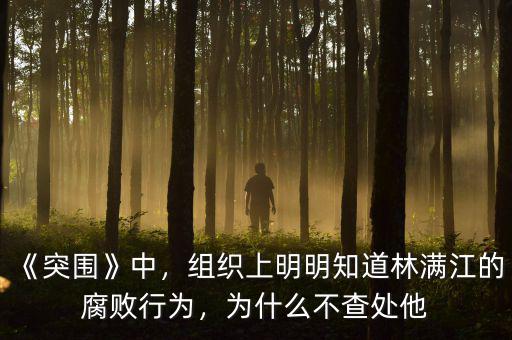 《突圍》中，組織上明明知道林滿江的腐敗行為，為什么不查處他