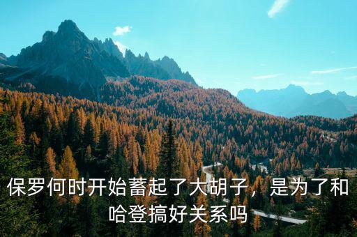 保羅何時(shí)開(kāi)始蓄起了大胡子，是為了和哈登搞好關(guān)系嗎