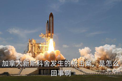 加拿大新斯科舍發(fā)生的槍擊案，是怎么回事啊