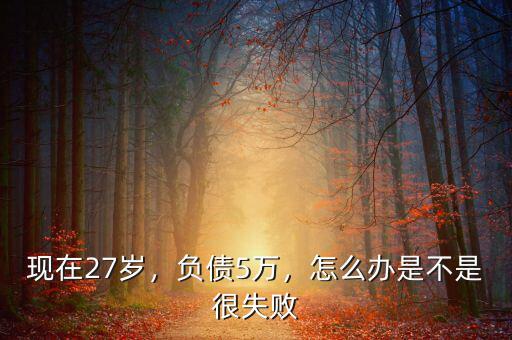 現(xiàn)在27歲，負債5萬，怎么辦是不是很失敗