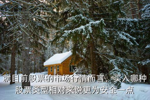 就目前股票的市場行情而言，買入哪種股票類型相對來說更為安全一點(diǎn)