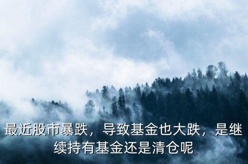 最近股市暴跌，導(dǎo)致基金也大跌，是繼續(xù)持有基金還是清倉(cāng)呢