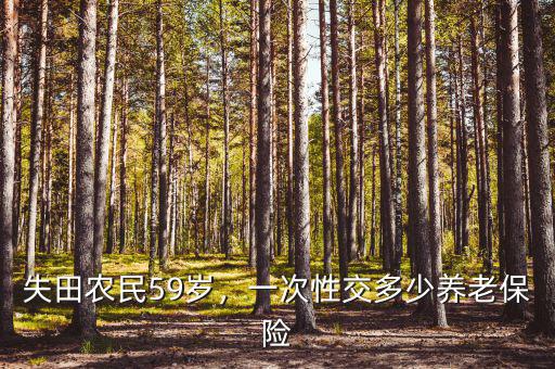 失田農民59歲，一次性交多少養(yǎng)老保險