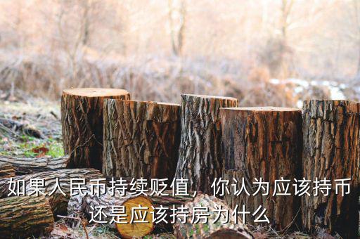 如果人民幣持續(xù)貶值，你認(rèn)為應(yīng)該持幣還是應(yīng)該持房為什么