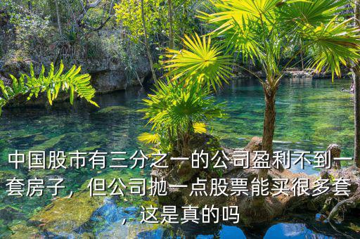 中國(guó)股市有三分之一的公司盈利不到一套房子，但公司拋一點(diǎn)股票能買很多套，這是真的嗎