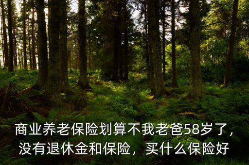 商業(yè)養(yǎng)老保險劃算不我老爸58歲了，沒有退休金和保險，買什么保險好