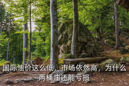 國際油價這么低，市場依然高，為什么兩桶油還能虧損