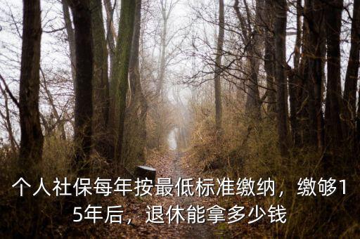 個(gè)人社保每年按最低標(biāo)準(zhǔn)繳納，繳夠15年后，退休能拿多少錢