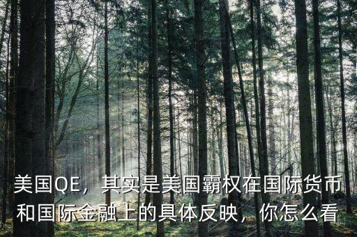 美國QE，其實(shí)是美國霸權(quán)在國際貨幣和國際金融上的具體反映，你怎么看