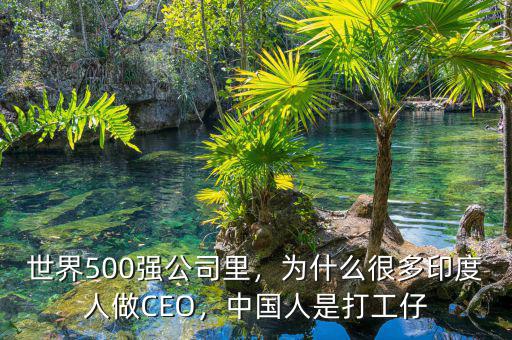 世界500強(qiáng)公司里，為什么很多印度人做CEO，中國(guó)人是打工仔