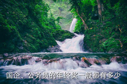 國(guó)企、公務(wù)員的年終獎(jiǎng)一般都有多少