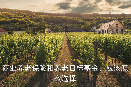商業(yè)養(yǎng)老保險(xiǎn)和養(yǎng)老目標(biāo)基金，應(yīng)該怎么選擇