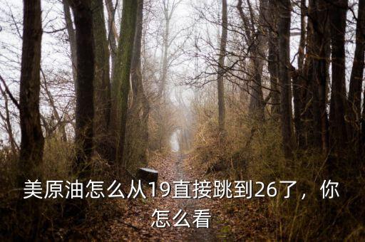 美原油怎么從19直接跳到26了，你怎么看