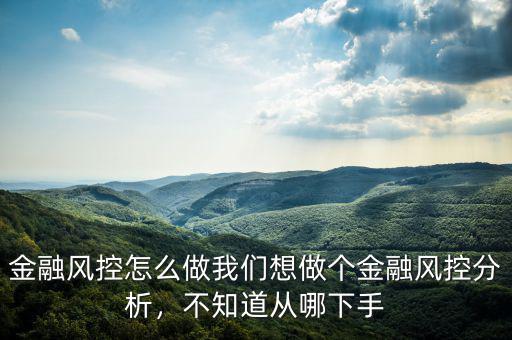 金融風(fēng)控怎么做我們想做個(gè)金融風(fēng)控分析，不知道從哪下手