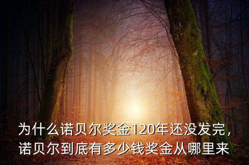 為什么諾貝爾獎金120年還沒發(fā)完，諾貝爾到底有多少錢獎金從哪里來
