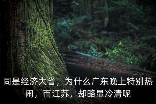 同是經(jīng)濟大省，為什么廣東晚上特別熱鬧，而江蘇，卻略顯冷清呢