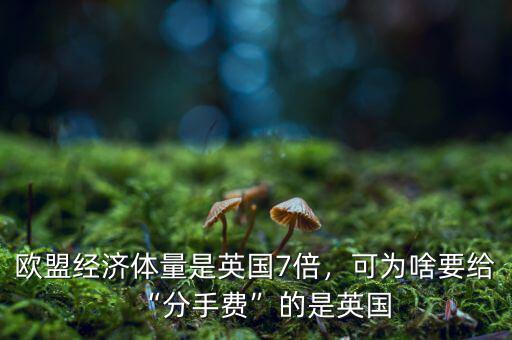 歐盟經(jīng)濟(jì)體量是英國(guó)7倍，可為啥要給“分手費(fèi)”的是英國(guó)