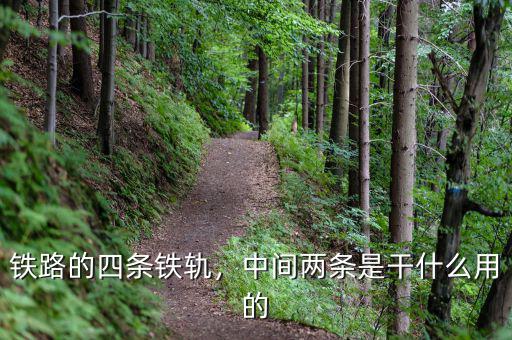 鐵路的四條鐵軌，中間兩條是干什么用的