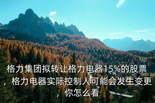格力集團(tuán)擬轉(zhuǎn)讓格力電器15%的股票，格力電器實(shí)際控制人可能會(huì)發(fā)生變更，你怎么看