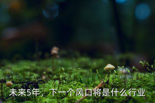 未來5年，下一個(gè)風(fēng)口將是什么行業(yè)