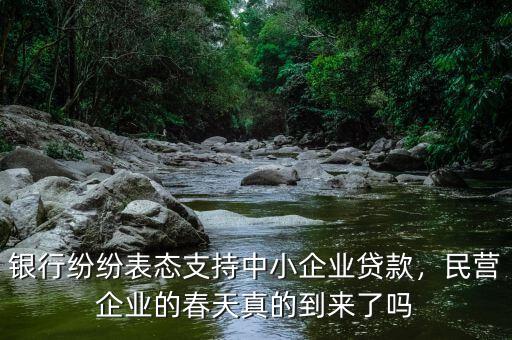 銀行紛紛表態(tài)支持中小企業(yè)貸款，民營企業(yè)的春天真的到來了嗎