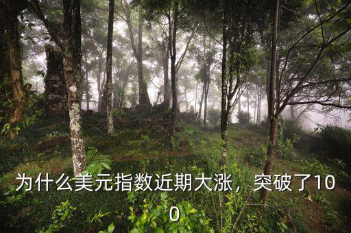 為什么美元指數(shù)近期大漲，突破了100
