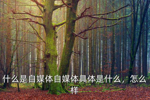 什么是自媒體自媒體具體是什么，怎么樣