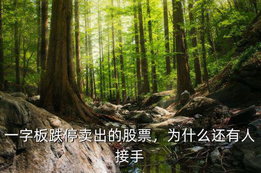 一字板跌停賣出的股票，為什么還有人接手