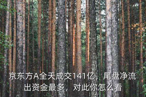 京東方A全天成交141億，尾盤凈流出資金最多，對(duì)此你怎么看