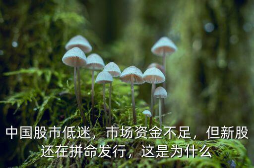 中國股市低迷，市場資金不足，但新股還在拼命發(fā)行，這是為什么