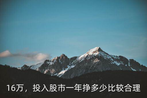 16萬(wàn)，投入股市一年掙多少比較合理
