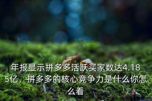 年報顯示拼多多活躍買家數(shù)達4.185億，拼多多的核心競爭力是什么你怎么看
