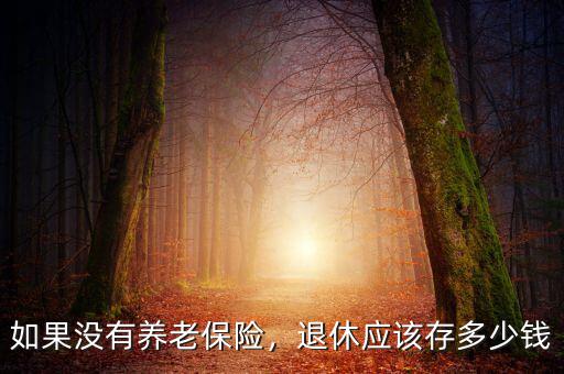 如果沒(méi)有養(yǎng)老保險(xiǎn)，退休應(yīng)該存多少錢