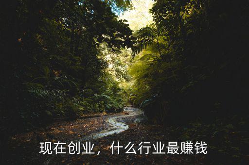 現(xiàn)在創(chuàng)業(yè)，什么行業(yè)最賺錢