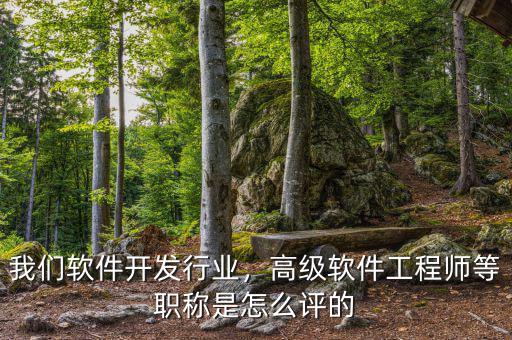 我們軟件開發(fā)行業(yè)，高級(jí)軟件工程師等職稱是怎么評(píng)的