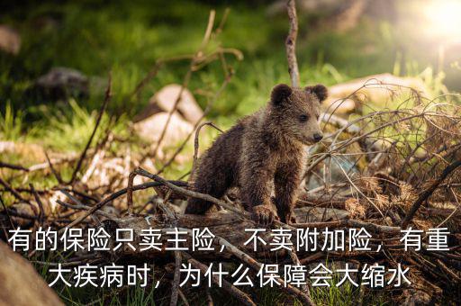 有的保險(xiǎn)只賣主險(xiǎn)，不賣附加險(xiǎn)，有重大疾病時(shí)，為什么保障會(huì)大縮水