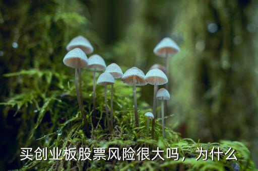 買創(chuàng)業(yè)板股票風險很大嗎，為什么
