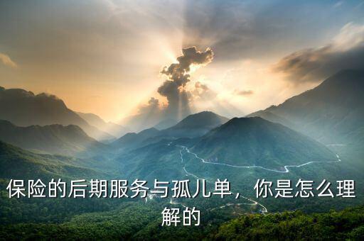 保險的后期服務(wù)與孤兒單，你是怎么理解的