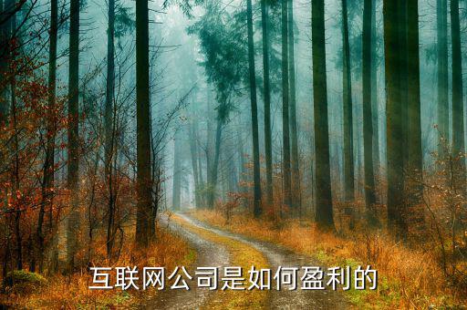 網絡公司是怎么賺錢的,他們的錢到底是怎么賺的