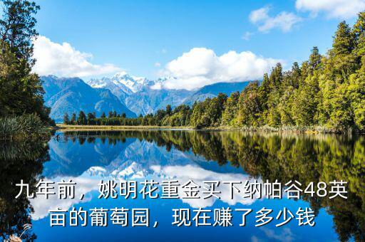 九年前，姚明花重金買下納帕谷48英畝的葡萄園，現(xiàn)在賺了多少錢