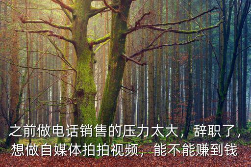 之前做電話銷售的壓力太大，辭職了，想做自媒體拍拍視頻，能不能賺到錢