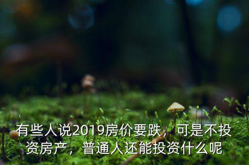 有些人說(shuō)2019房?jī)r(jià)要跌，可是不投資房產(chǎn)，普通人還能投資什么呢