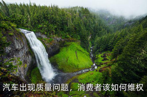 汽車出現(xiàn)質量問題，消費者該如何維權