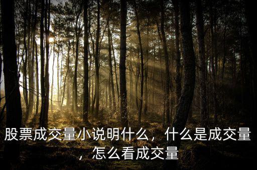 股票成交量小說明什么，什么是成交量，怎么看成交量