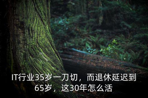IT行業(yè)35歲一刀切，而退休延遲到65歲，這30年怎么活