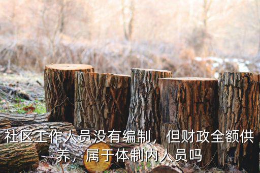 社區(qū)工作人員沒(méi)有編制，但財(cái)政全額供養(yǎng)，屬于體制內(nèi)人員嗎