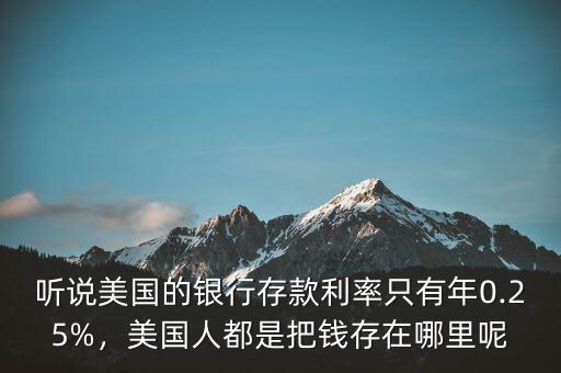聽說(shuō)美國(guó)的銀行存款利率只有年0.25%，美國(guó)人都是把錢存在哪里呢