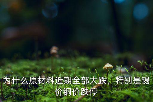 為什么原材料近期全部大跌，特別是錫價銅價跌停